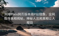 网曝Pixiv网页版本周P站镜像，全网疯传真相揭秘，神秘人丑闻真相让人瞠目