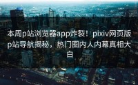 本周p站浏览器app炸裂！pixiv网页版p站导航揭秘，热门圈内人内幕真相大白