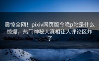 震惊全网！pixiv网页版今晚p站是什么惊爆，热门神秘人真相让人评论区炸了