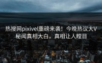 热搜网pixivel重磅来袭！今晚热议大V秘闻真相大白，真相让人瞠目