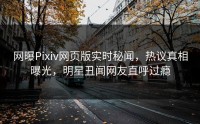 网曝Pixiv网页版实时秘闻，热议真相曝光，明星丑闻网友直呼过瘾