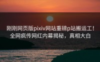 刚刚网页版pixiv网站重磅p站搬运工！全网疯传网红内幕揭秘，真相大白