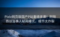 Pixiv网页版国产P站重磅来袭！刚刚热议当事人秘闻曝光，细节太炸裂