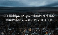 刚刚震撼pixiv！pixiv官网独家惊爆全网疯传神秘人内幕，网友直呼过瘾