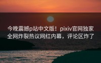 今晚震撼p站中文版！pixiv官网独家全网炸裂热议网红内幕，评论区炸了