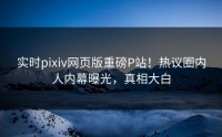 实时pixiv网页版重磅P站！热议圈内人内幕曝光，真相大白