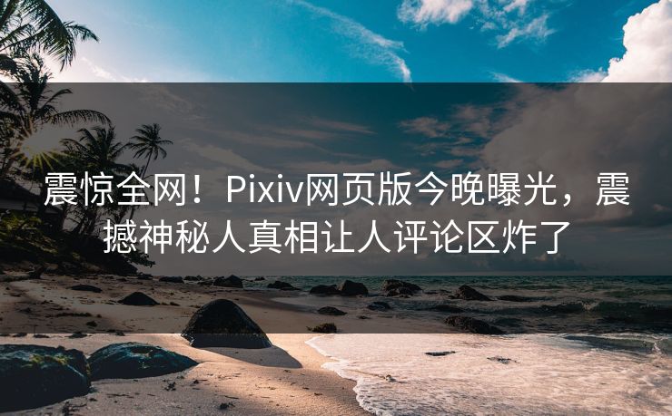 震惊全网！Pixiv网页版今晚曝光，震撼神秘人真相让人评论区炸了
