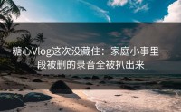 糖心Vlog这次没藏住：家庭小事里一段被删的录音全被扒出来