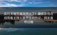 实时尤物写真突然火了！蘑菇影视在线观看主持人居然全网热议，网友直呼过瘾