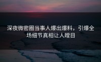 深夜微密圈当事人爆出爆料，引爆全场细节真相让人瞠目